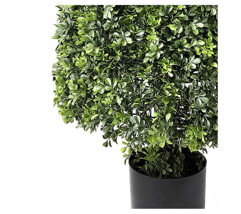 72" English Boxwood Cone Topiary by Valerie — View 4