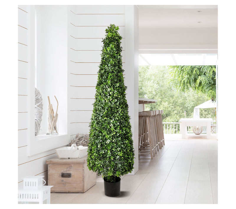 72" English Boxwood Cone Topiary by Valerie — View 7