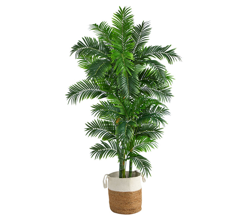 Nearly Natural 6' Curvy Parlor Artificial Palm in Planter — Main view