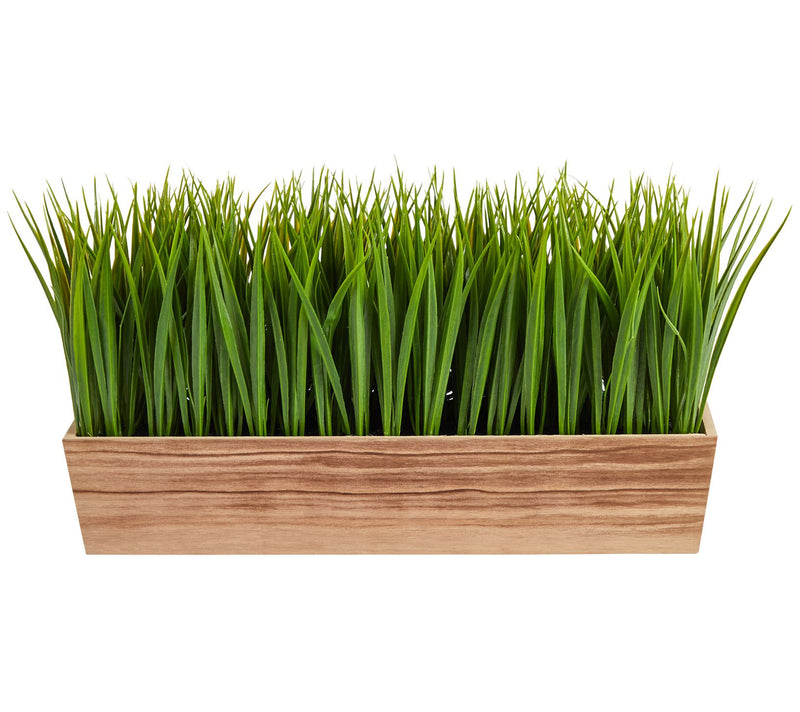 Nearly Natural 20" Vanilla Grass Plant in Decorative Planter — View 3