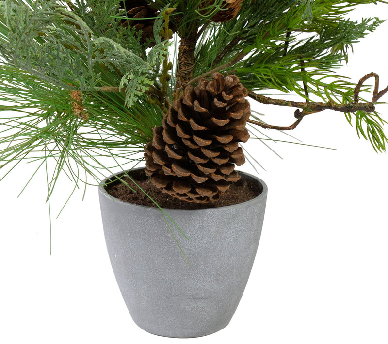 Northlight 2' Potted Mixed Pine Cedar and Twigree - Unlit — View 4