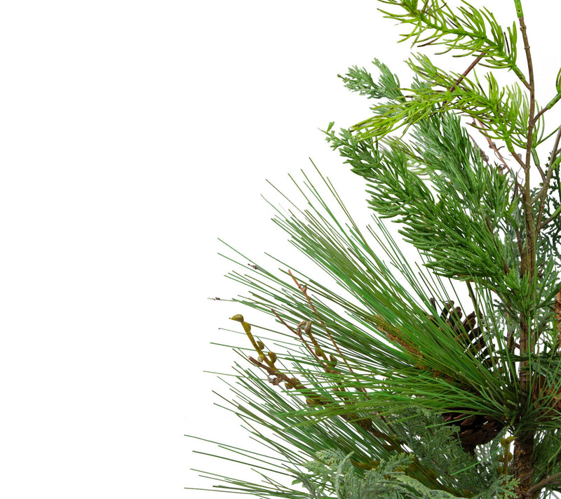 Northlight 2' Potted Mixed Pine Cedar and Twigree - Unlit — View 6
