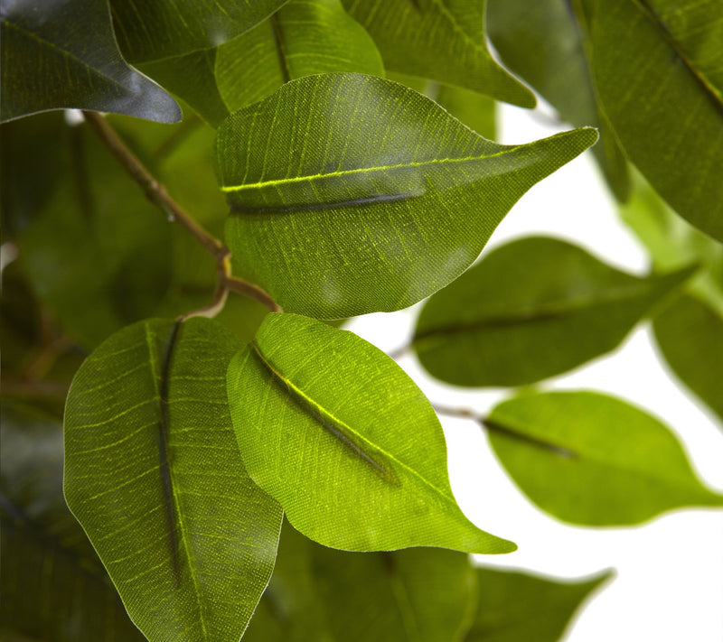 5-1/2' Indoor/Outdoor Ficus Tree by Nearly Natural — View 2