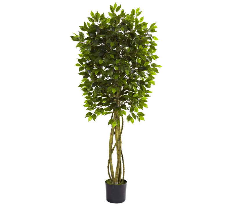 5-1/2' Indoor/Outdoor Ficus Tree by Nearly Natural — Main view