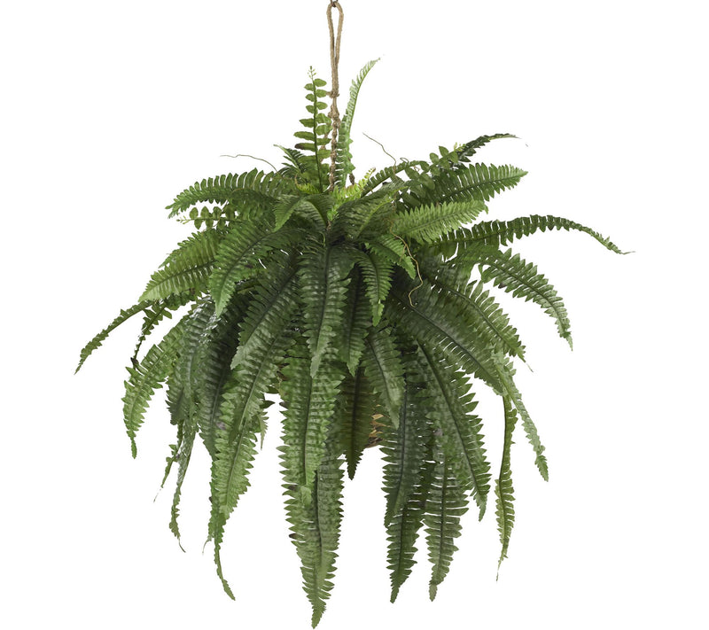 Large Boston Fern Hanging Basket by Nearly Natural — Main view