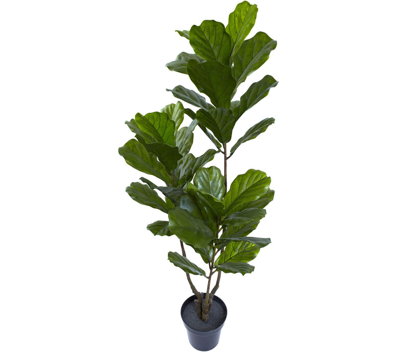 65" Indoor/Outdoor Fiddle Leaf Tree by Nearly Natural — View 2