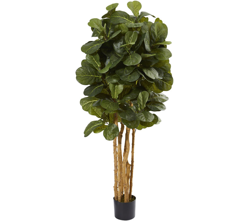 5' Fiddle Leaf Fig Tree in Black Planter by Nearly Natural — Main view