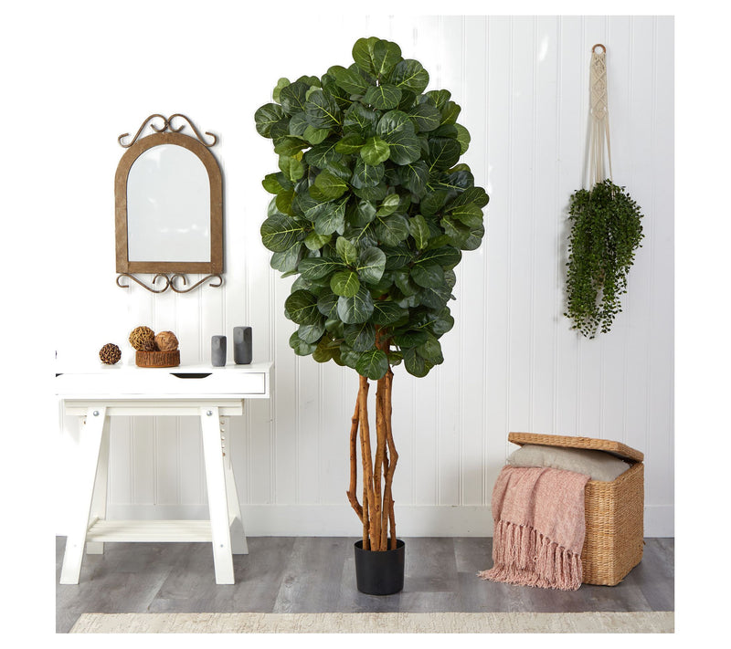 7' Fiddle Leaf Fig Tree in Black Planter by Nearly Natural — View 2