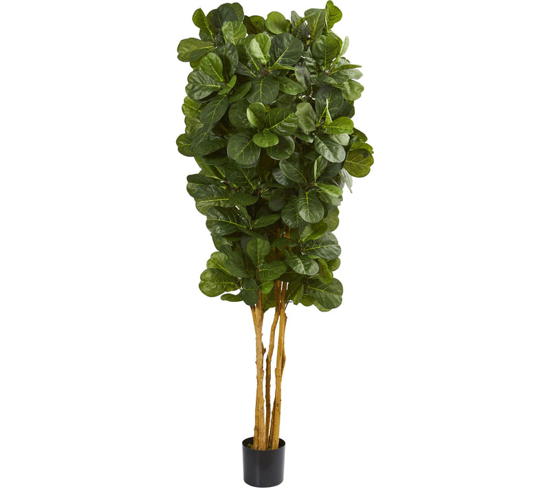 7' Fiddle Leaf Fig Tree in Black Planter by Nearly Natural — Main view