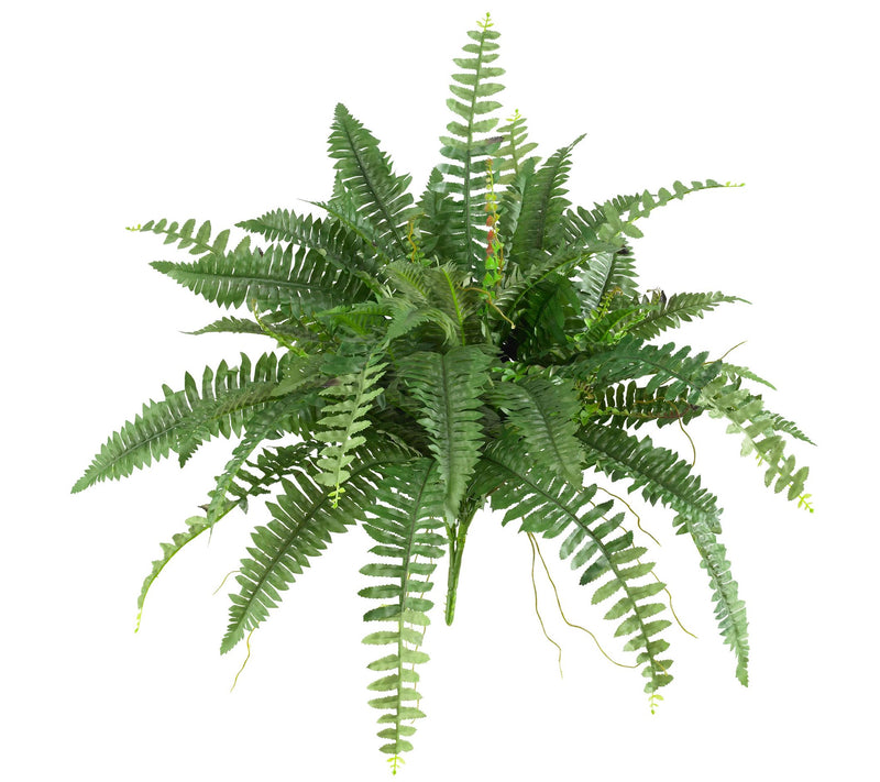 Set of 2 Boston Ferns by Nearly Natural — Main view