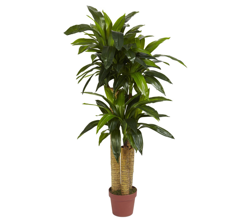 4' Corn Stalk Dracaena Silk Plant by Nearly Natural — Main view