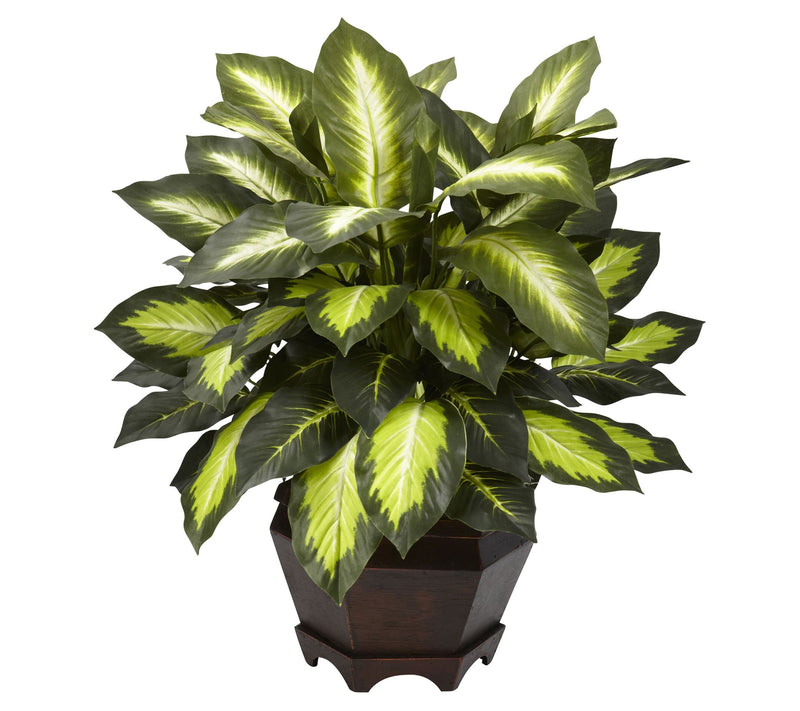 Triple Golden Dieffenbachia w/Wooden Vase by Nearly Natural — Main view