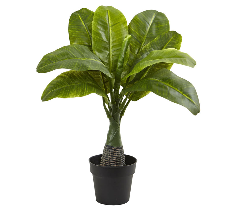 Areca, Fountain & Banana Palm (Set of 3) by Nearly Natural — View 3