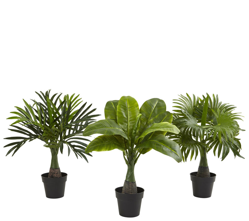 Areca, Fountain & Banana Palm (Set of 3) by Nearly Natural — Main view
