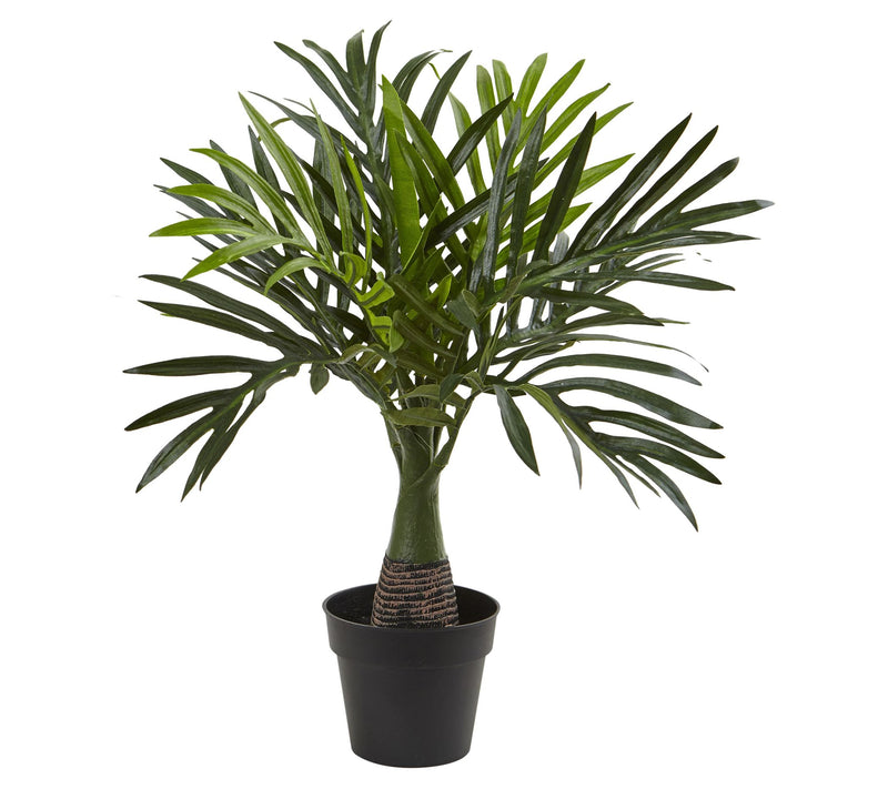 Areca, Fountain & Banana Palm (Set of 3) by Nearly Natural — View 2