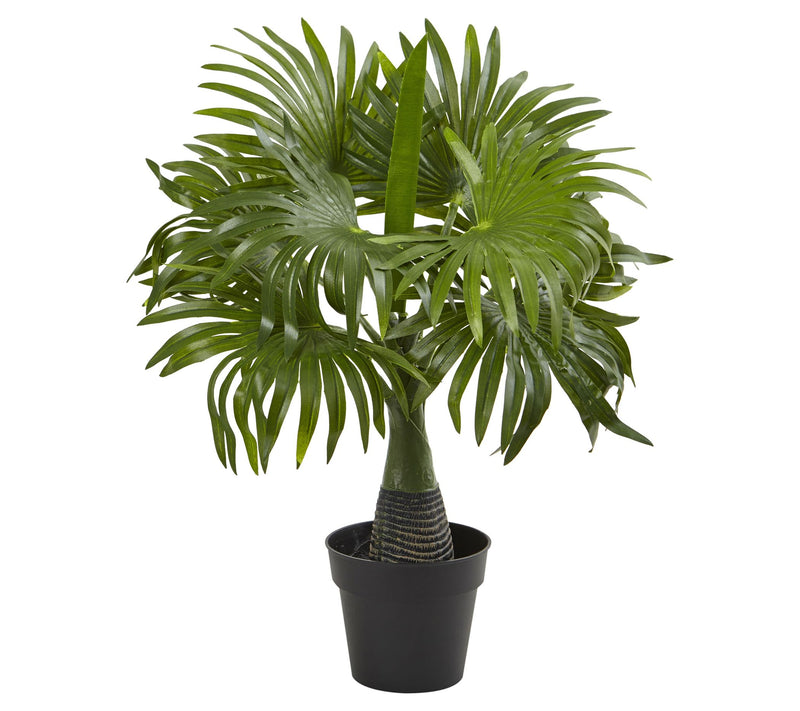 Areca, Fountain & Banana Palm (Set of 3) by Nearly Natural — View 4