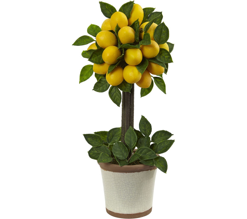 Lemon Ball Topiary Arrangement by Nearly Natural — Main view