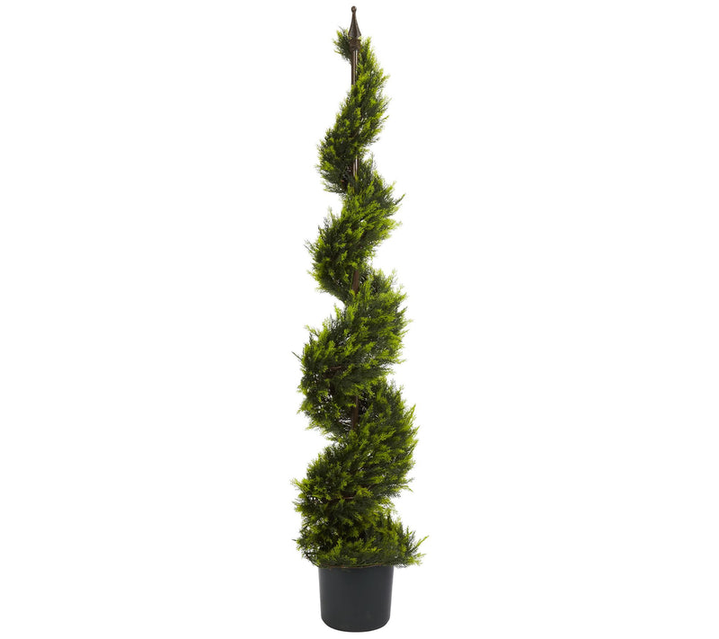 5' Cypress Spiral Tree by Nearly Natural — Main view