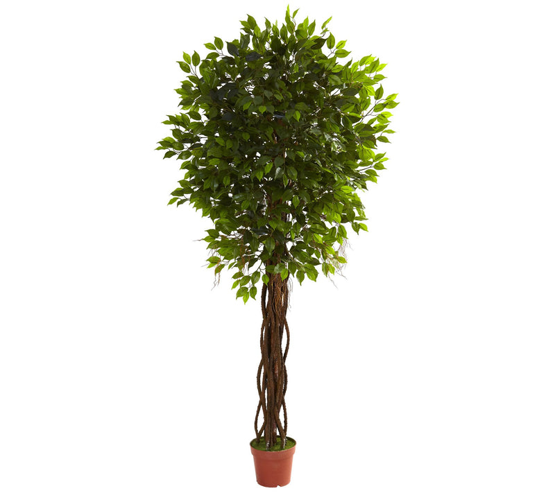 7.5' Ficus Tree by Nearly Natural — Main view