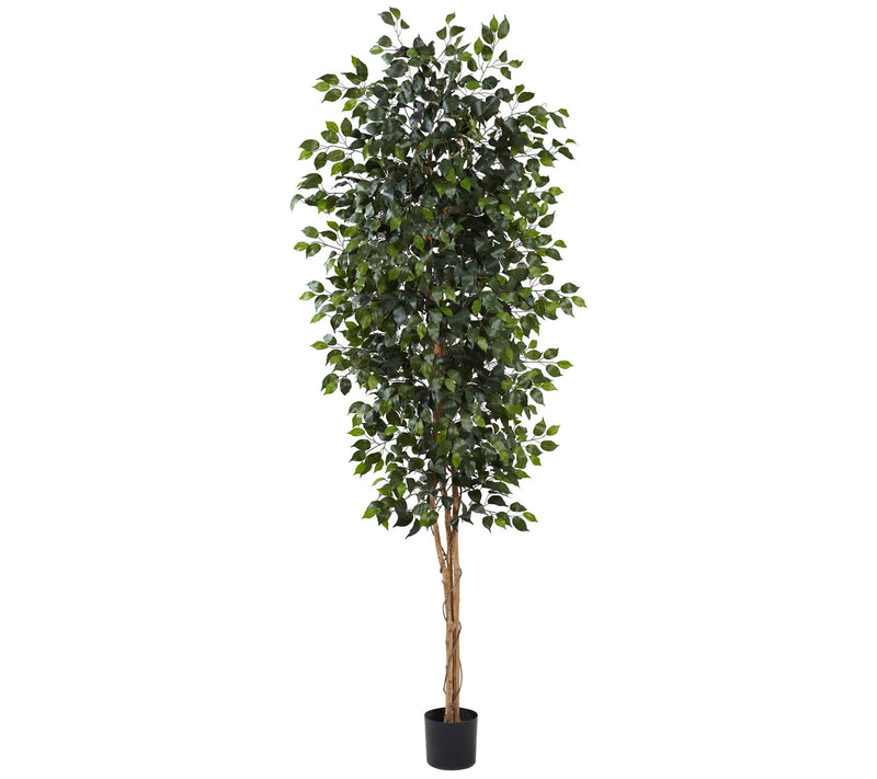 8' Ficus Silk Tree by Nearly Natural — Main view