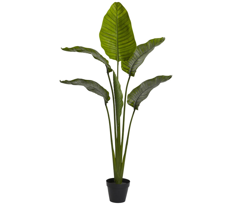 64" Travelers Palm Tree by Nearly Natural — Main view