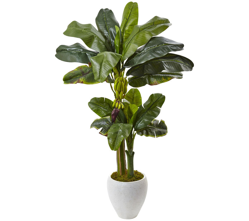 Double Stalk Banana Tree in White Planter by Nearly Natural — Main view