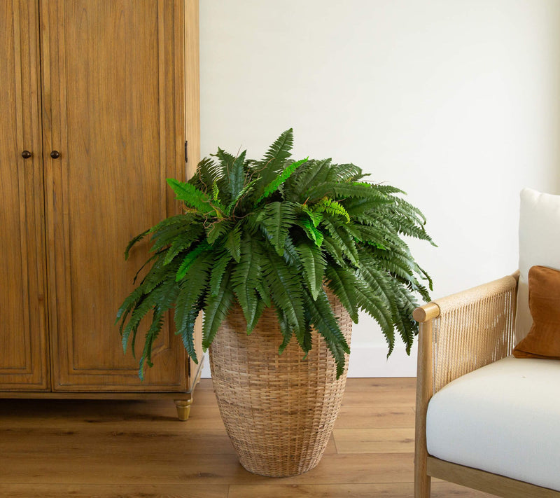 Set of 2 Boston Ferns by Nearly Natural — View 5