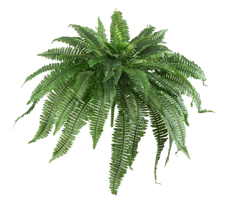 Set of 2 Boston Ferns by Nearly Natural — View 7