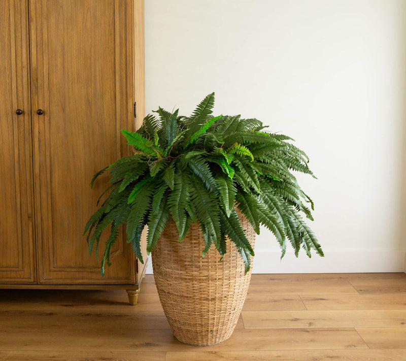 Set of 2 Boston Ferns by Nearly Natural — View 6