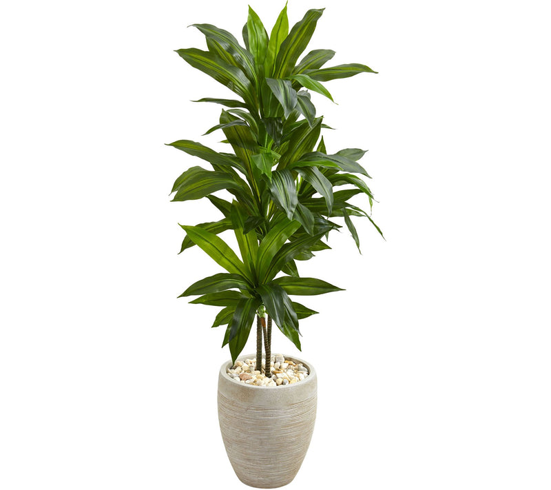 4' Dracaena Plant in Sand-Colored Planter by Nearly Natural — Main view
