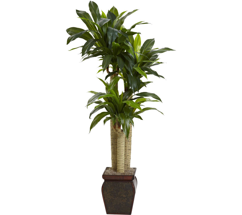 4' Cornstalk Draceana with Vase by Nearly Natural — Main view