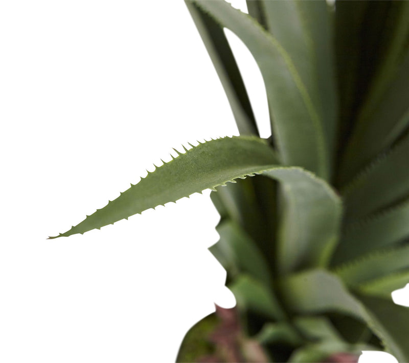 4' Spiked Agave Plant by Nearly Natural — View 3