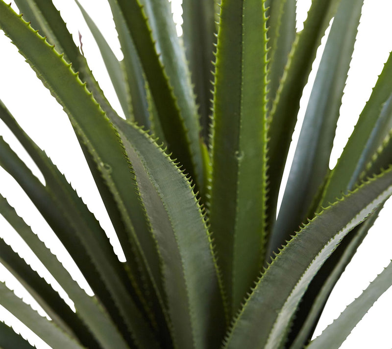 4' Spiked Agave Plant by Nearly Natural — View 2