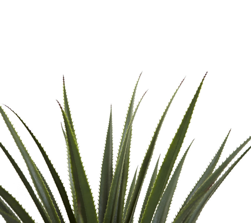 4' Spiked Agave Plant by Nearly Natural — View 4