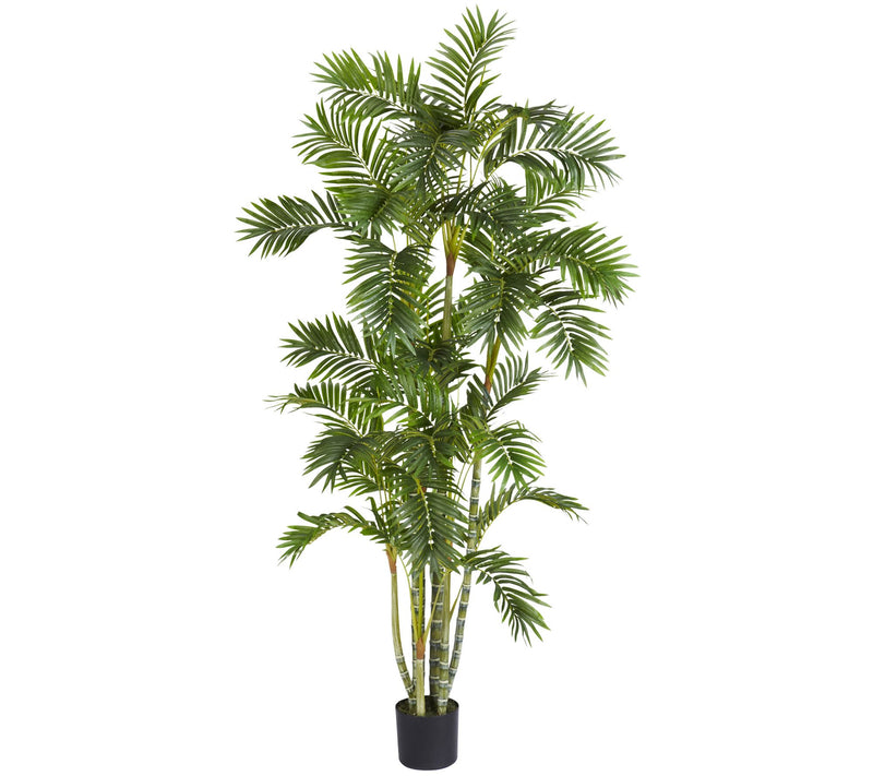 6' Areca Palm Tree by Nearly Natural — Main view