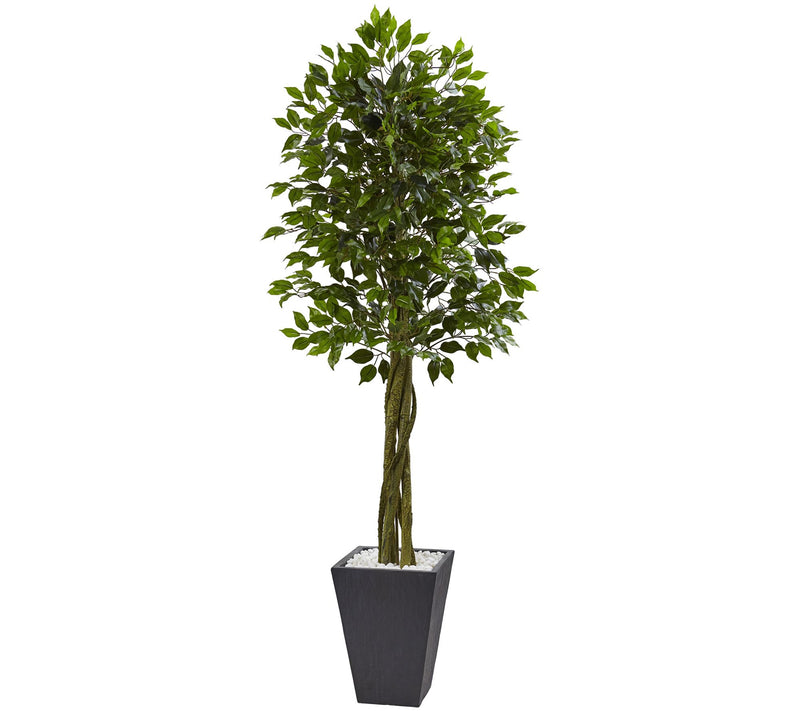 6'6" Ficus Tree with Slate Planter by Nearly Natural — Main view