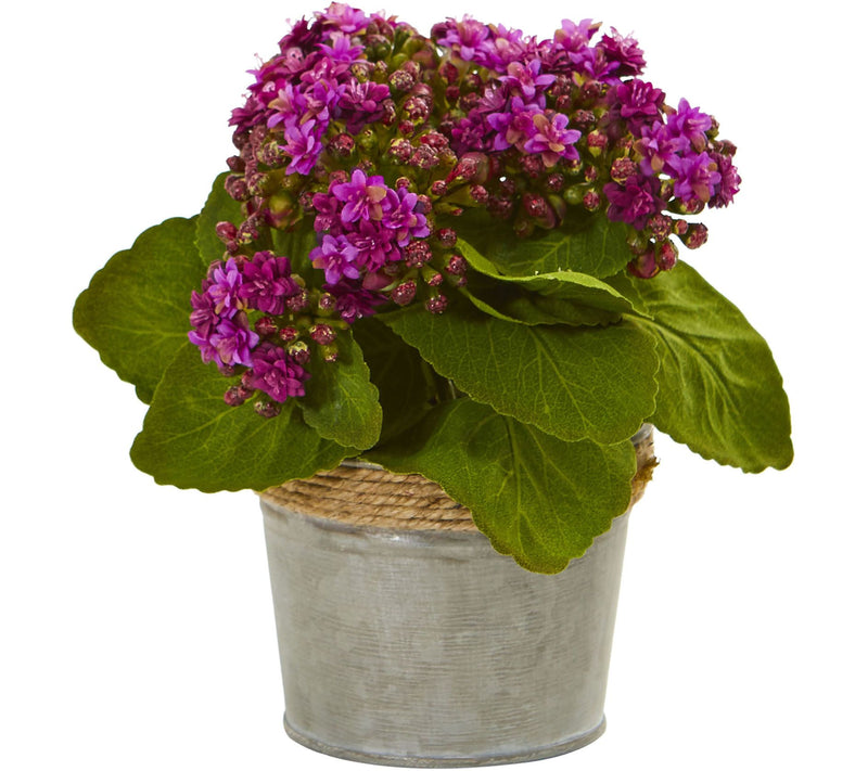 Set of 3 Kalanchoe Arrangements by Nearly Natural — View 3