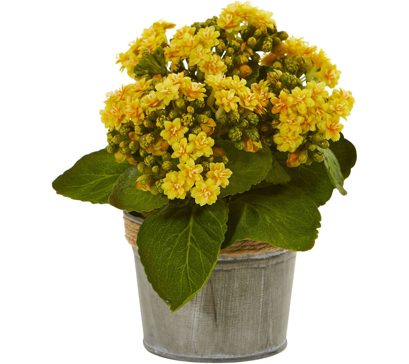 Set of 3 Kalanchoe Arrangements by Nearly Natural — View 2