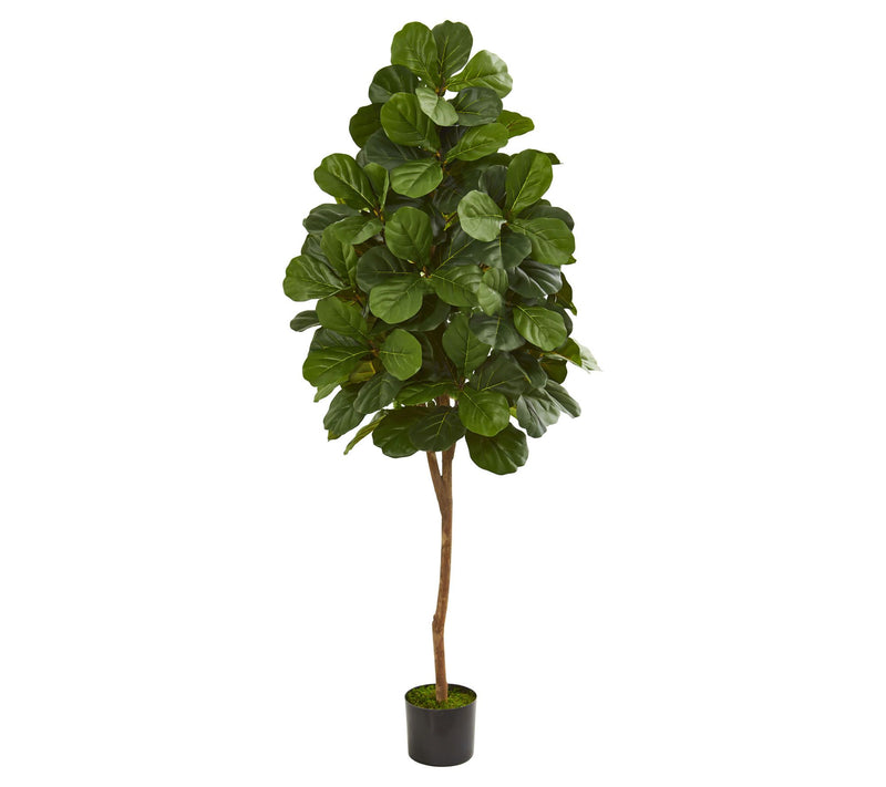 6' Fiddle Leaf Fig Artificial Tree by Nearly Natural — Main view
