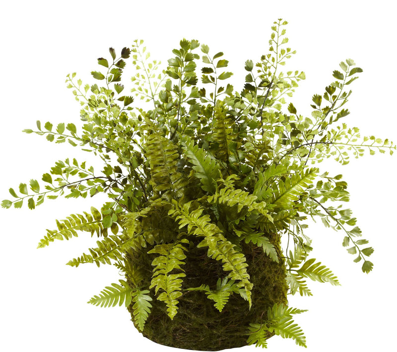 Mixed Fern with Twig and Moss Basket by Nearlyatural — Main view
