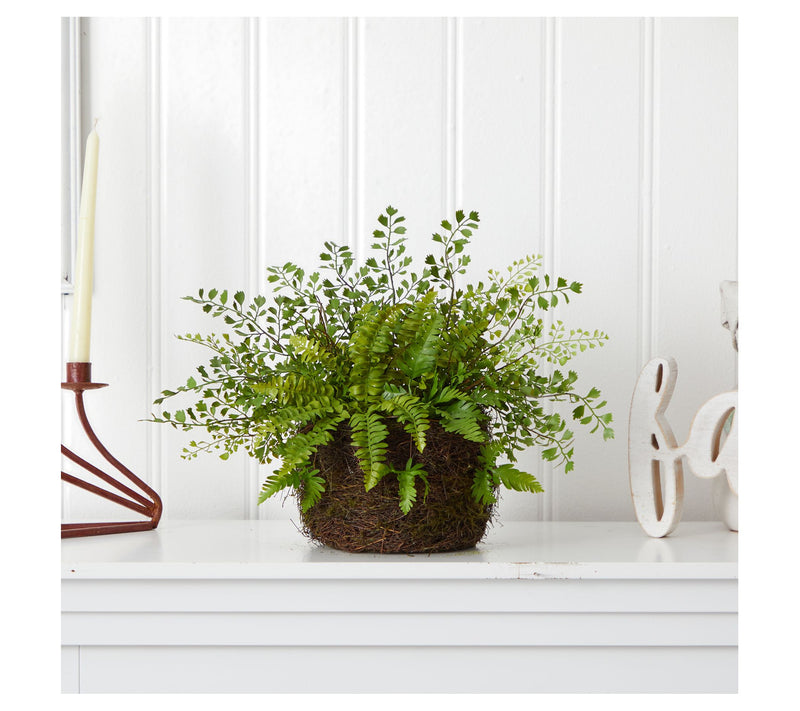 Mixed Fern with Twig and Moss Basket by Nearlyatural — View 2