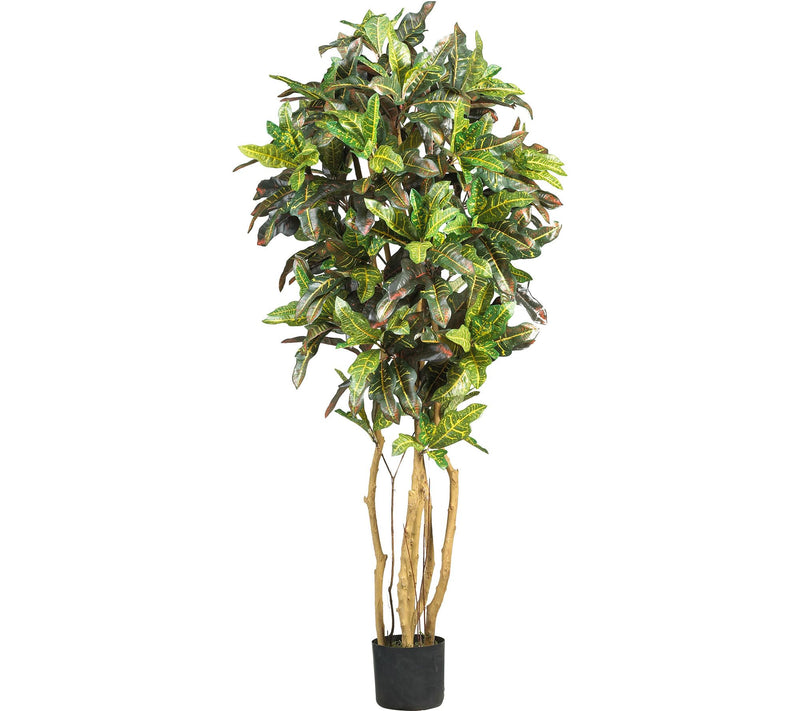 5' Croton Silk Tree by Nearly Natural — Main view