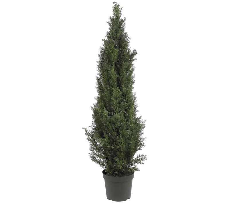 5' Mini Cedar Pine Tree by Nearly Natural — Main view