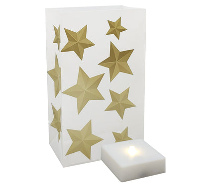 LumaBase Set of 6 Goldtone Star LED Luminariaswith Timer