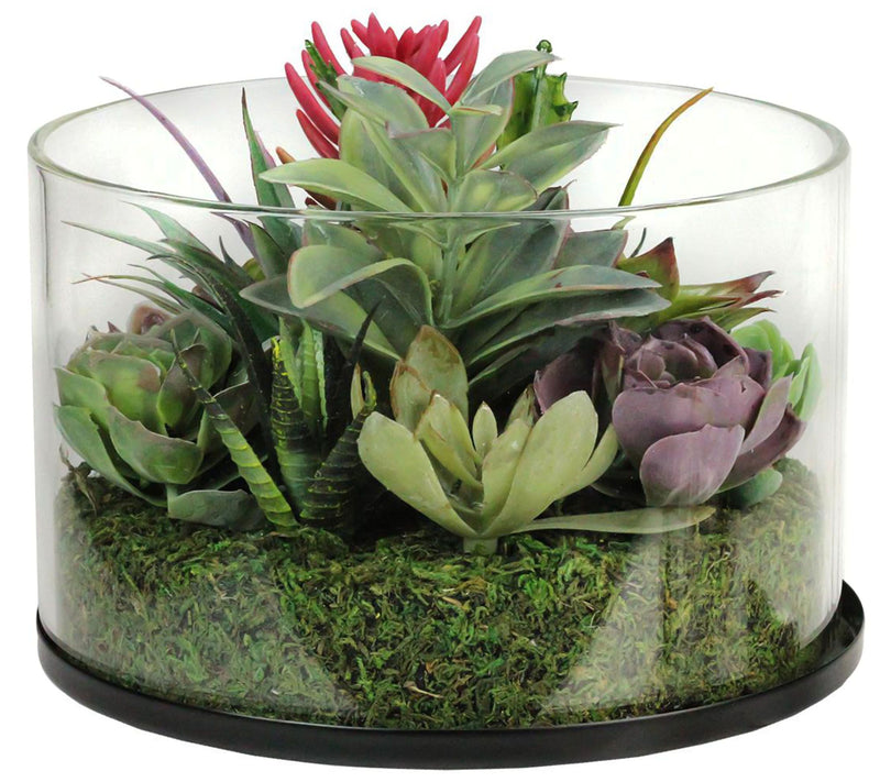 Northlight Mixed Succulent Arrangement in GlassJar — Main view