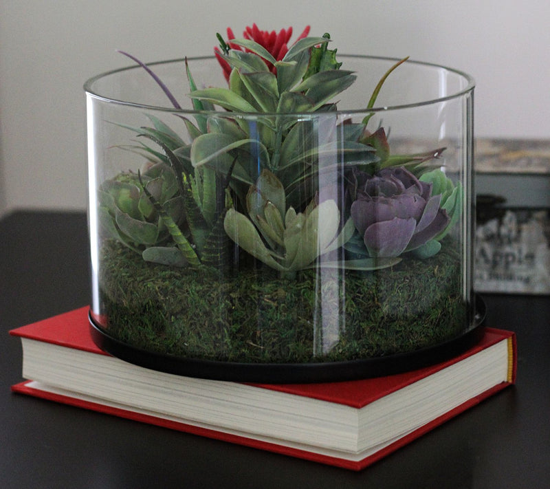 Northlight Mixed Succulent Arrangement in GlassJar — View 2