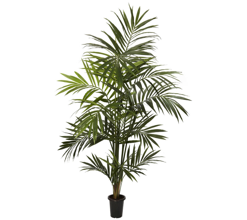 7' Kentia Palm Silk Tree by Nearly Natural — Main view