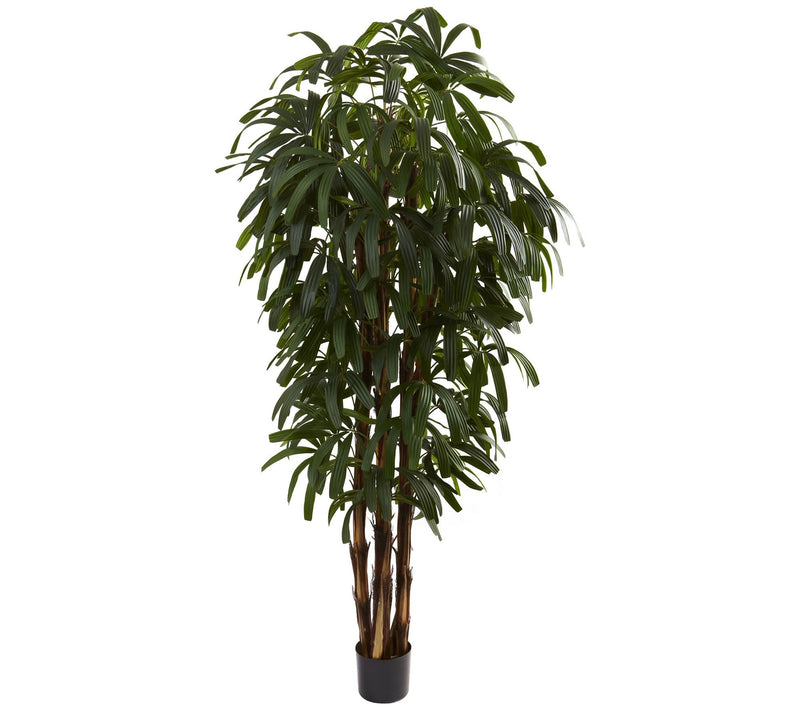 6' Raphis Palm Tree by Nearly Natural — Main view
