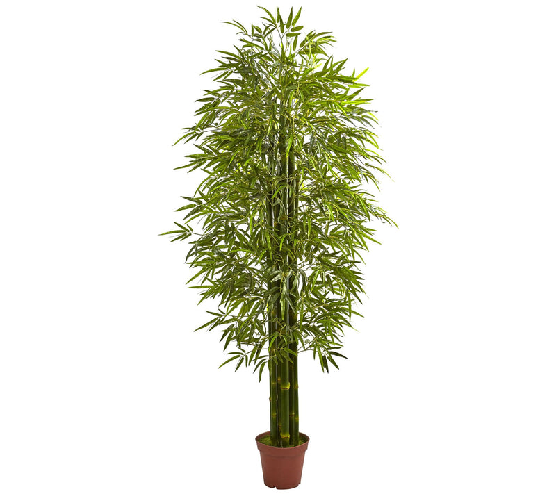 7' Bamboo Tree by Nearly Natural — Main view