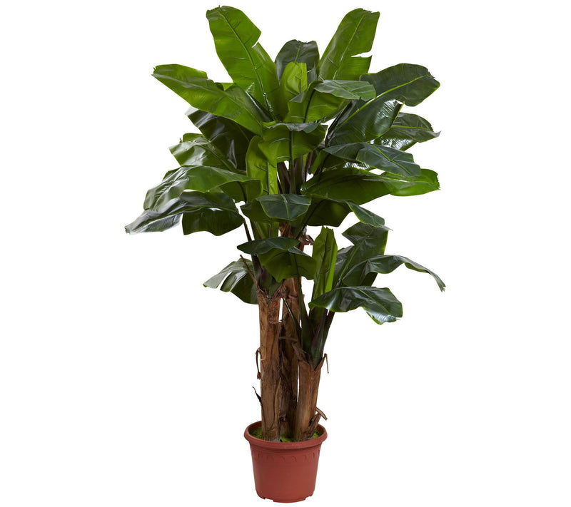 7' Giant Triple Stalk Banana Tree by Nearly Natural — Main view